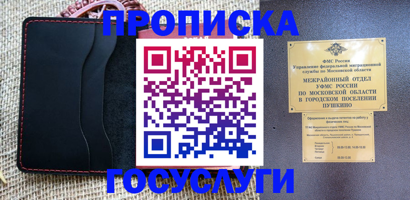 прописка для школы в Краснодаре